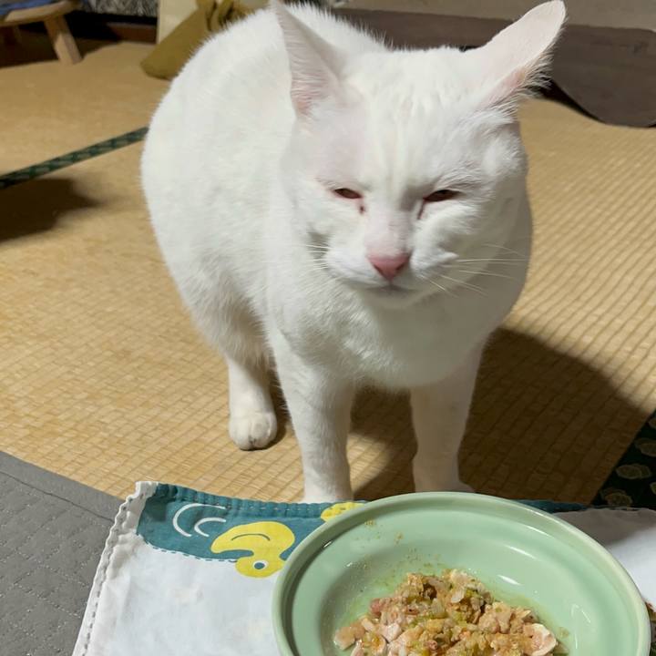 72107900 66dd 48b6 b5eb d0d80cba079a 1769604878812