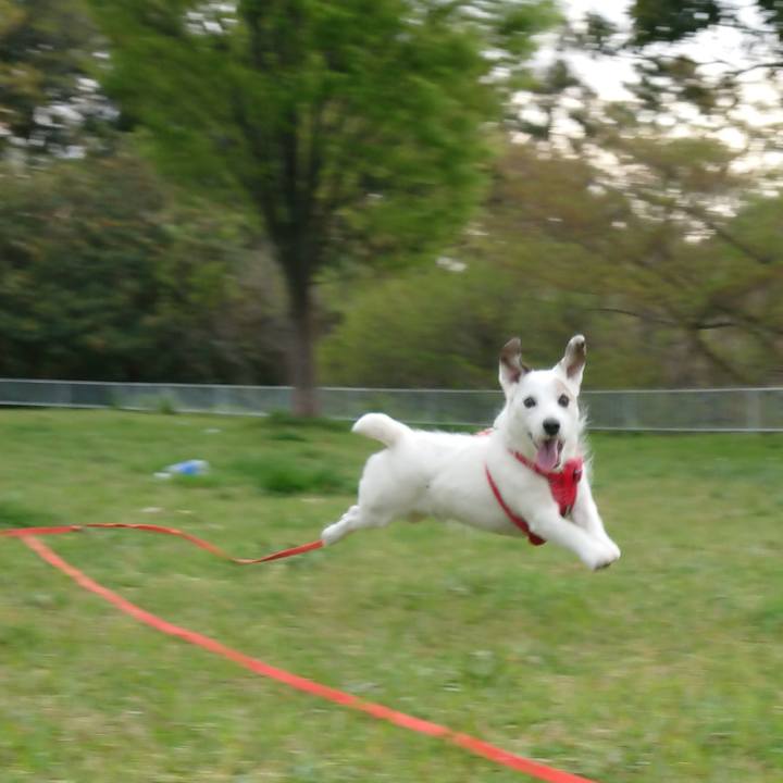 72108b68 ee89 40fa ad55 4355e42605e1 1523575537321