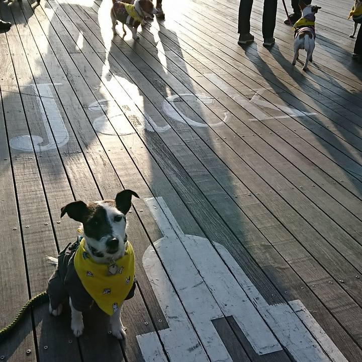 7210a305 ac78 4951 bb6e 03ae00611dec 1516517706581