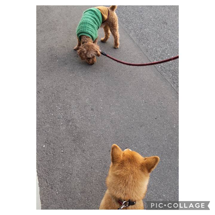 7210a6d7 f489 4b5d a618 85184a9e9df2 1672990841078