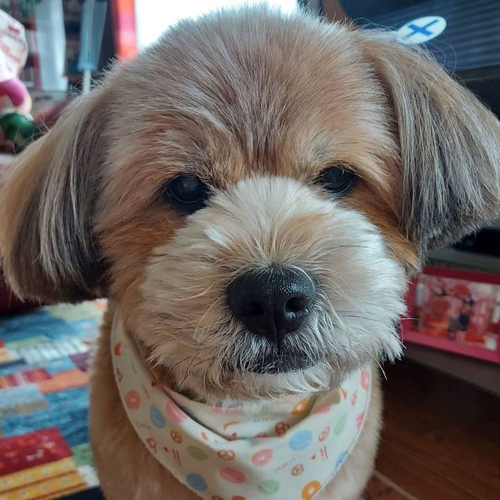 7210b5c1 90c0 4b0b b507 1d723efa96e9 1654320601863