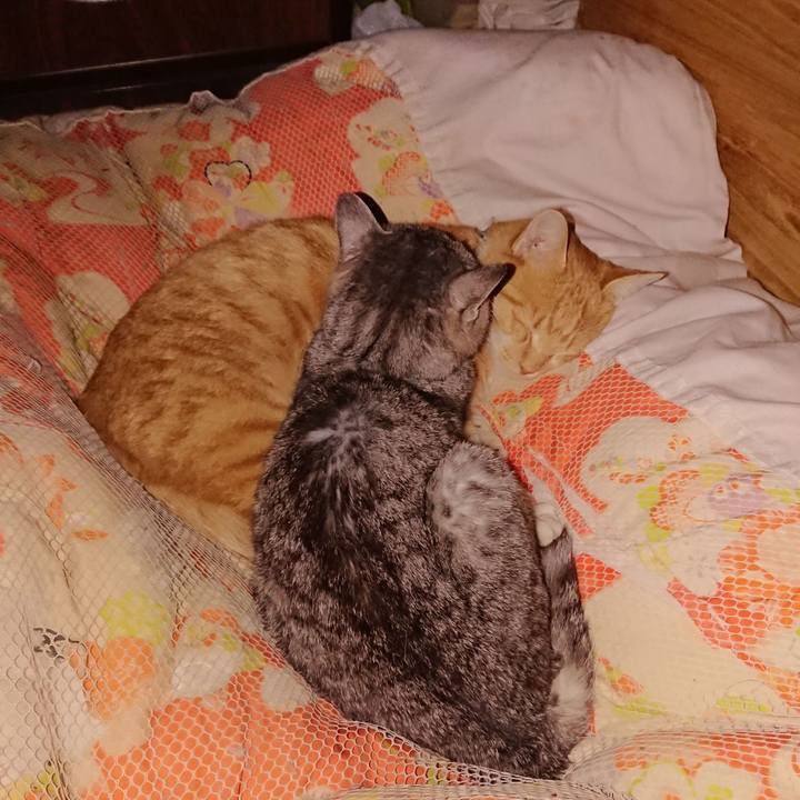 72115362 7e6a 4d35 aac9 d9675c91b872 1605960313753