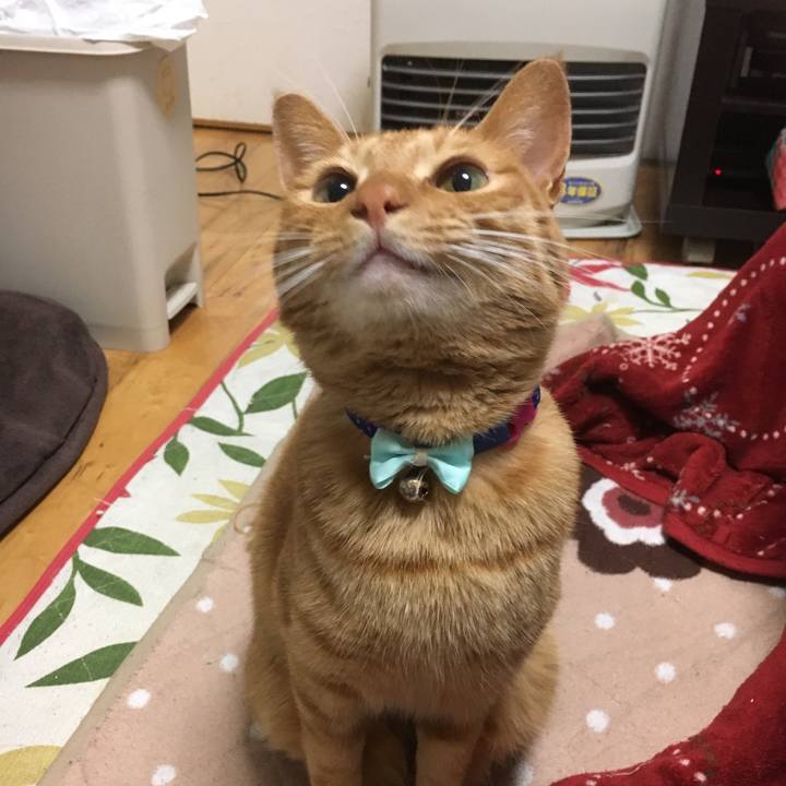 7211c65c 2971 4219 857c 044ee47f8074 1512974370031