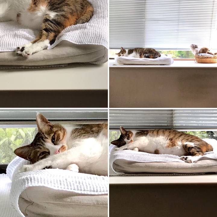 7211ce18 cfee 4b42 8969 c8dc12f65f47 1566441319709