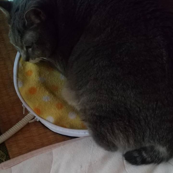 7211d384 7e73 4b71 aea0 c418ee38a825 1635114588335