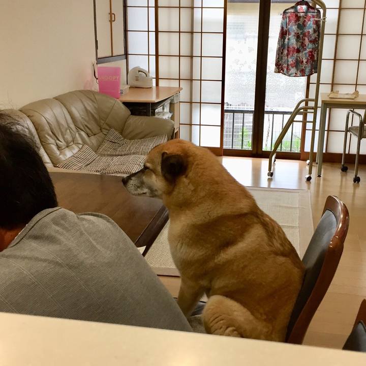 7211e80f 8537 425b b68c e69b1fabf741 1527029037333