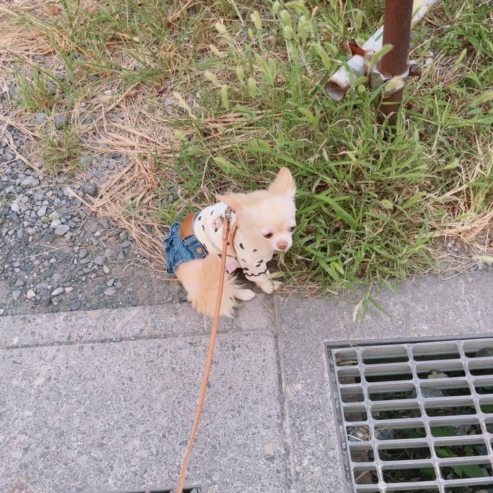 72120ac9 15ef 4eb8 8782 737cf85588f3 1759143050210