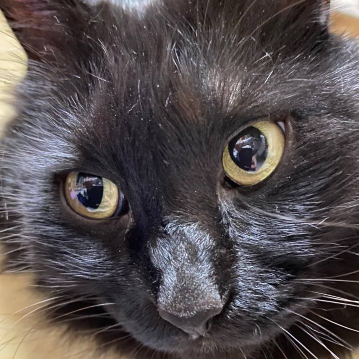 72122818 18f4 4f32 b79d 7109ecf69e5d 1603804194095