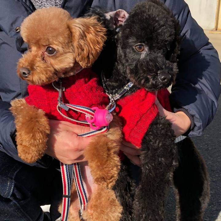 72122fa6 6eff 42ef a620 a2ef993e7902 1546735624908