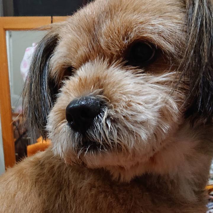 72125aa9 4a3d 4e8f b9b7 2a0a5cb30ac6 1577784092331