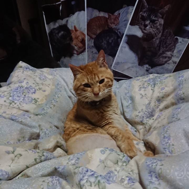 72128c6b ae01 42b8 bc95 8fba50e7d25a 1655816837638