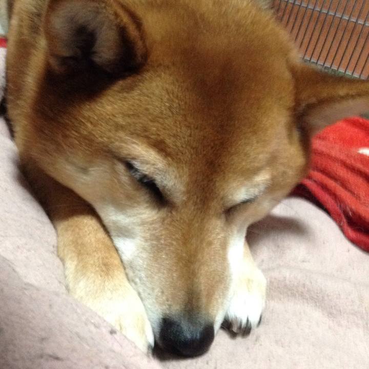 7212cb5e dfbe 47a4 b563 b218e478cc82 1520487179901