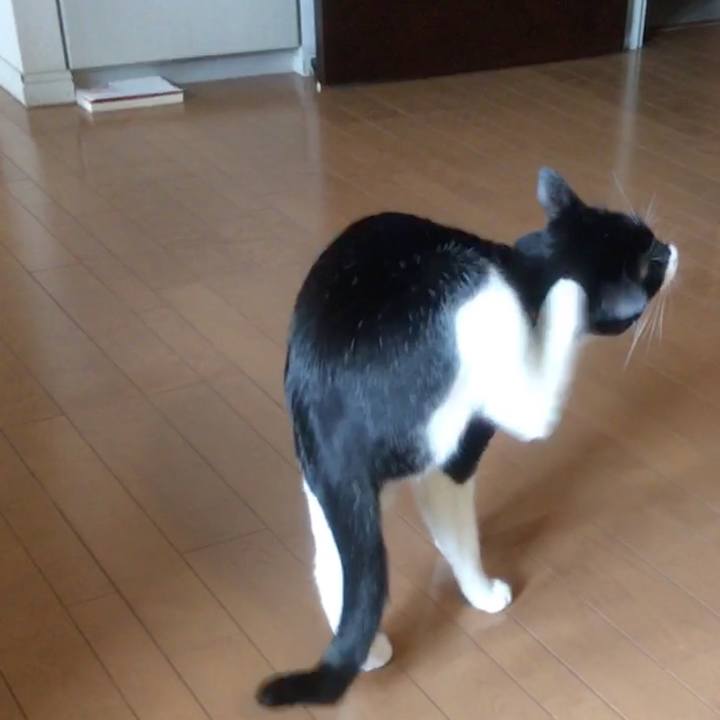 7212e061 445a 47fa a19e 1fb4c33dccca 1576989505589