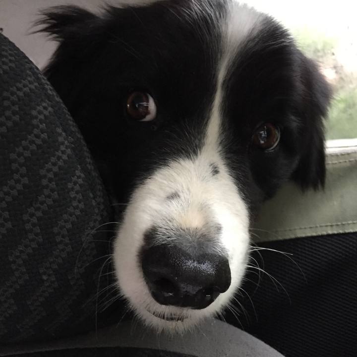 7212e23b ae0d 4a5d ba5e da687362bacc 1527026933088