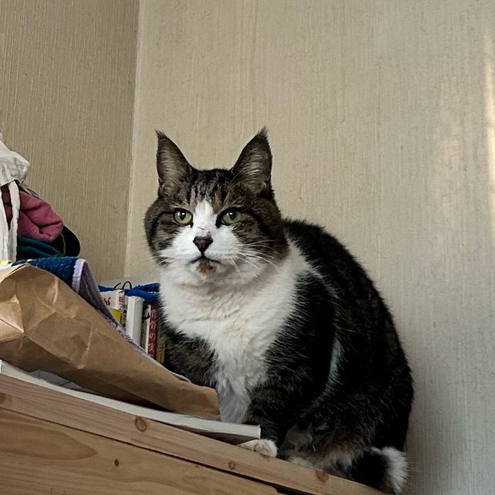 7212fa46 9170 4a4b addf 39c9552c3b63 1766461882831