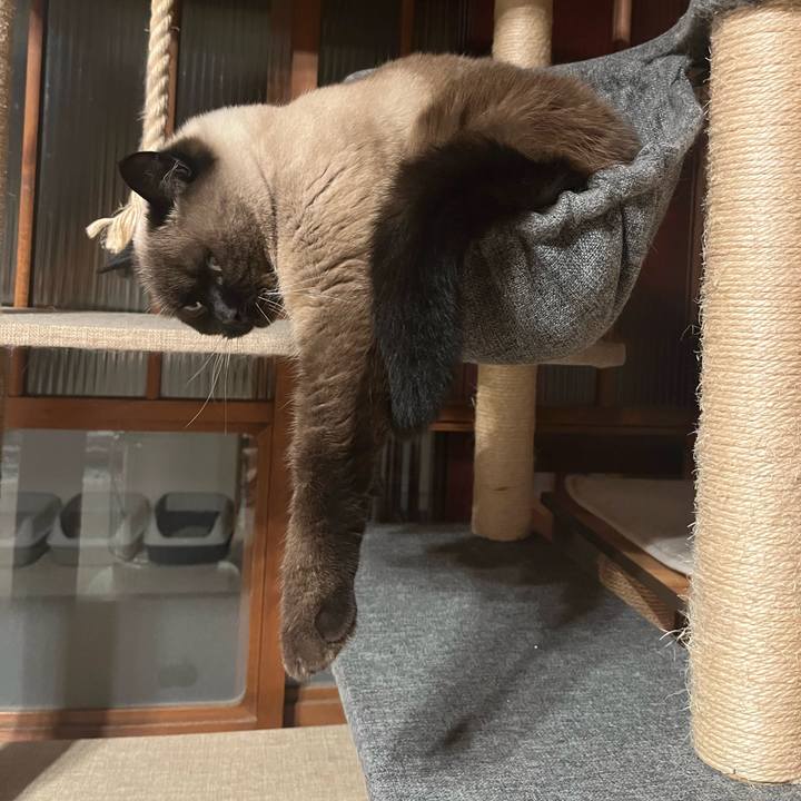 7212ff4a 406a 40bb ac61 39826684c75e 1669116471354