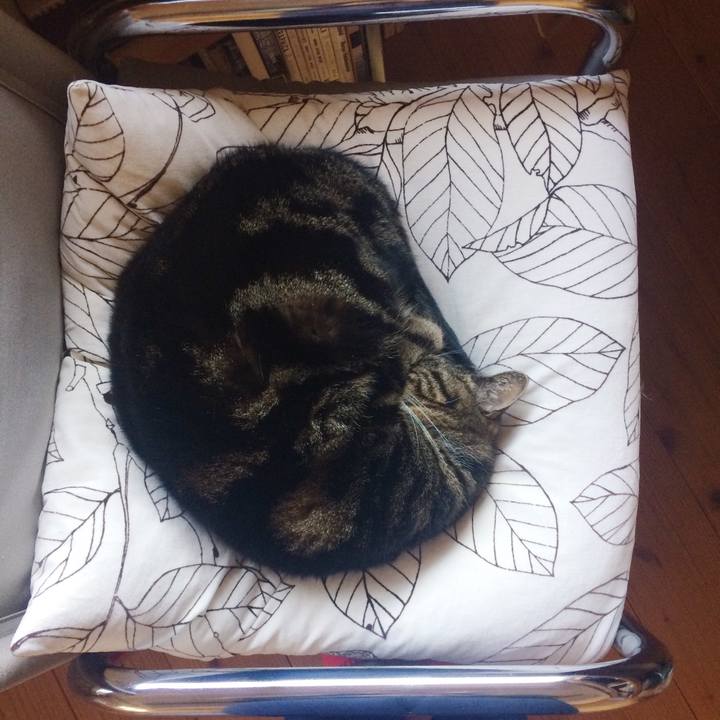 72130250 6479 4e0e a47e becd9499566c 1515626179365