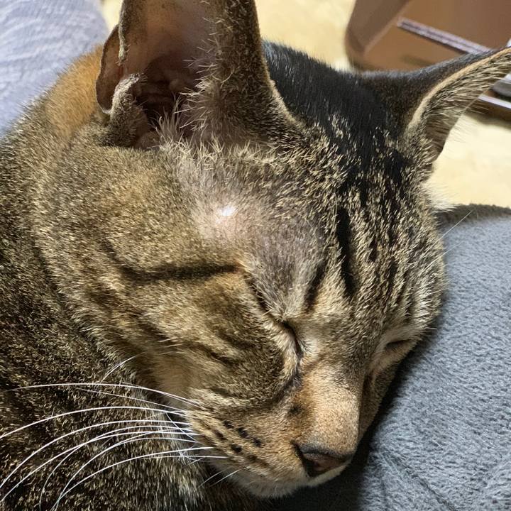 7213237c 74ab 4913 b34e 4235779a52a4 1549849375807