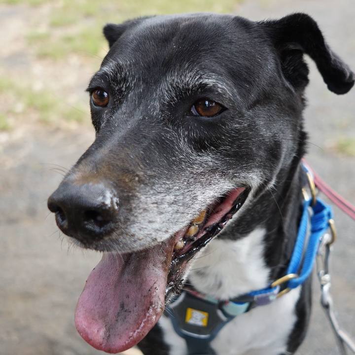 72134a7d dd83 471a a3b6 146727364d44 1759018532402