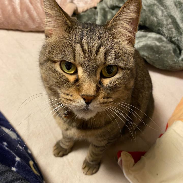 72136989 f531 4ff0 a622 2674bea5accb 1583969257420