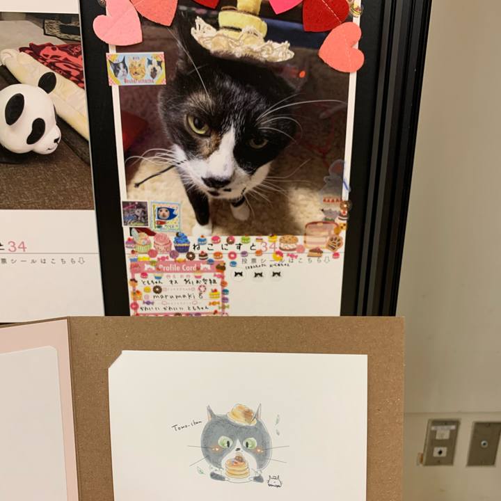 72138971 b580 4ab1 befa 0a486c0b3e59 1620355497873