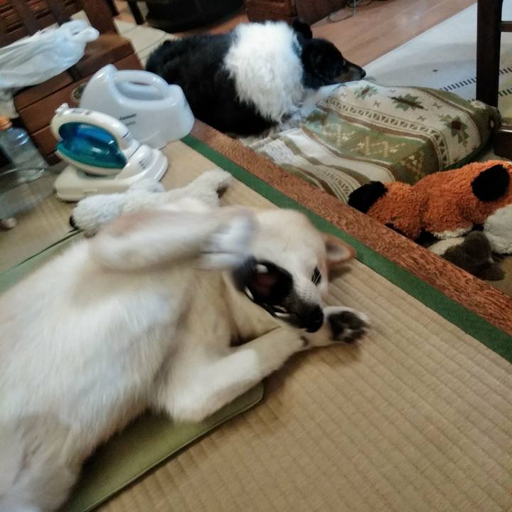 72138a05 09cf 494f bb77 3335b3faee73 1514552227280