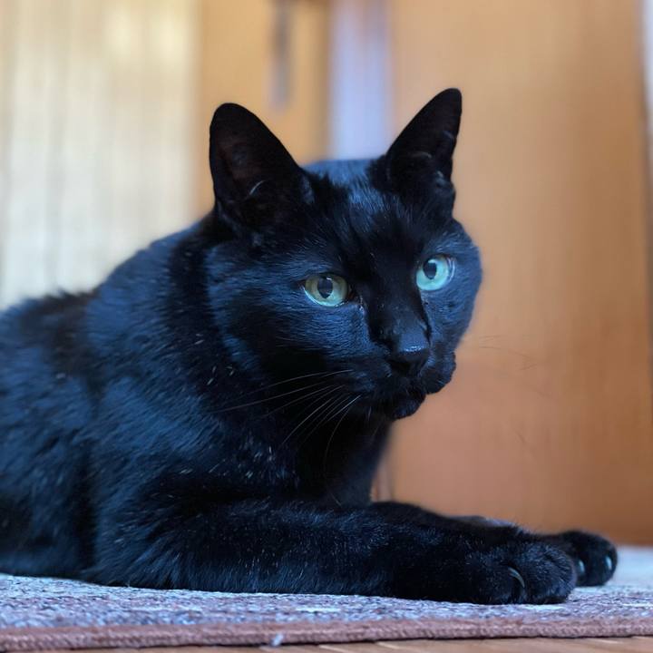 7213b12d 0181 4b08 b15e 18bce03c766d 1648685225288