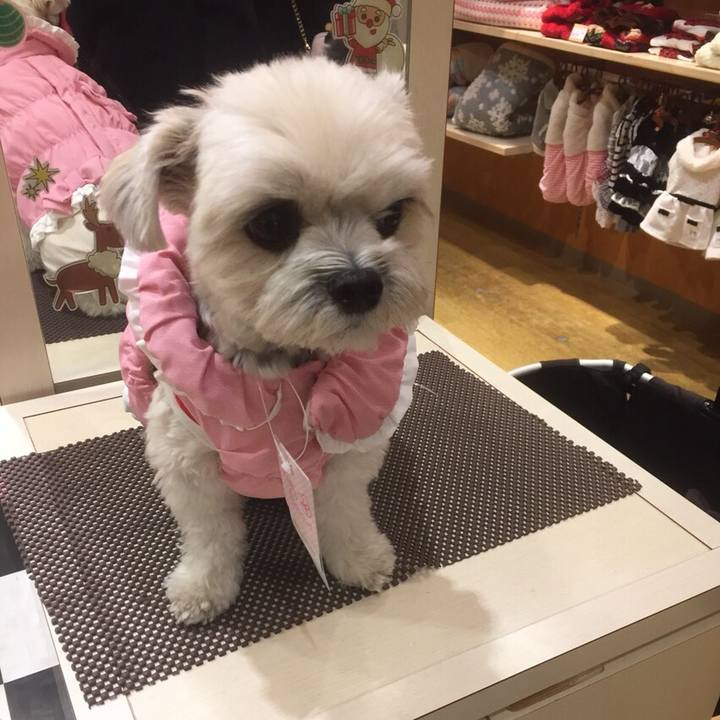 7213d5c3 b867 42ff 9858 ccdde79222aa 1512475175399