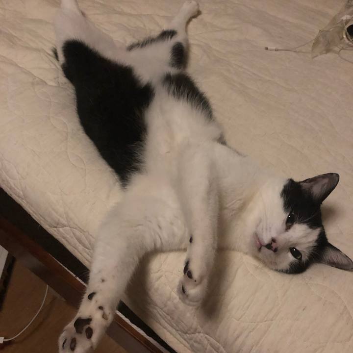 72145d4e c8a7 4795 8cb6 4f5c5e8b616a 1562086365137