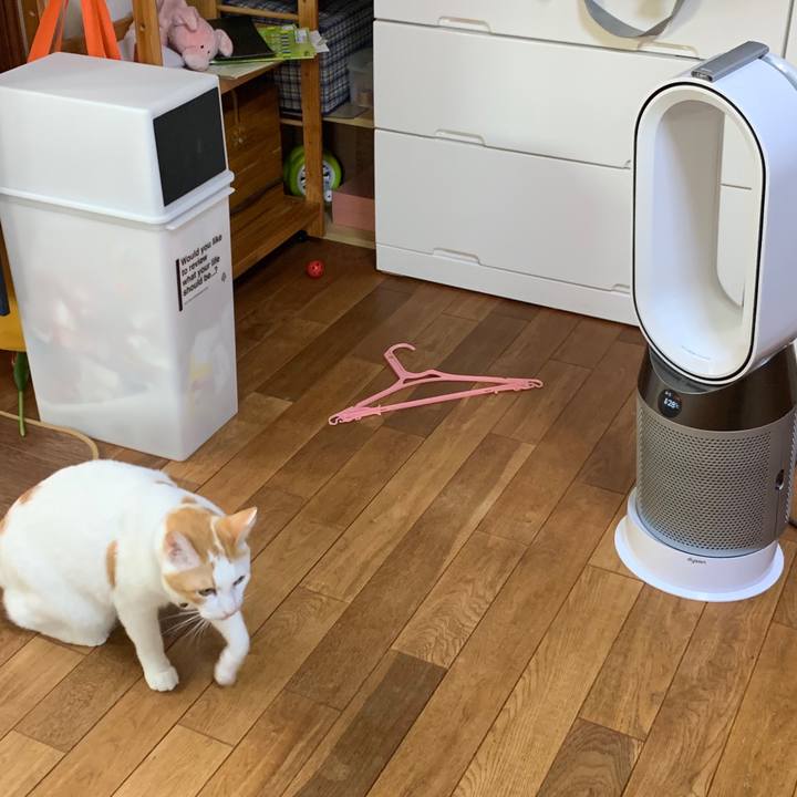 72146af0 6dd3 4515 87c6 faf2b1afa89d 1570613518667