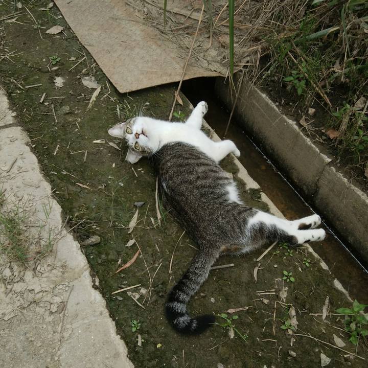 72146ed9 0b4a 463c 8799 e36eb7b4a00a 1533986965904