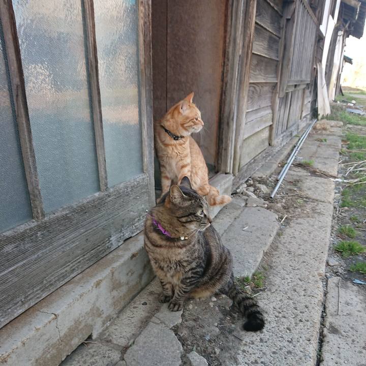 72146f4b 8337 4014 88dd 47e2fde22adc 1650182278715