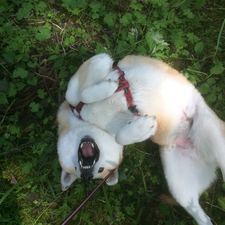 721477bc cc8e 4aee 9008 cba74d49ddac 1527434004430