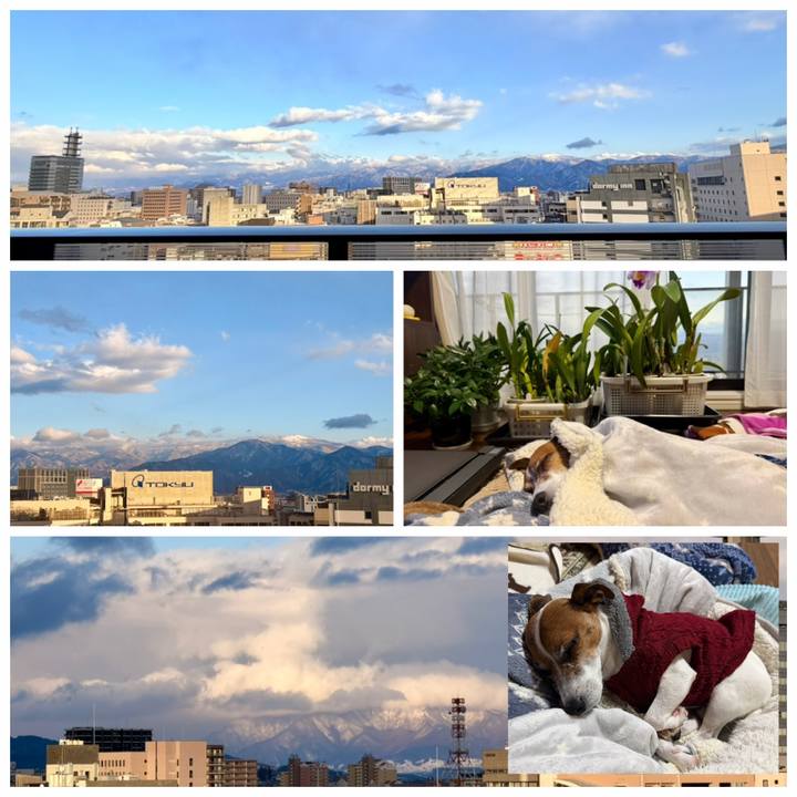 7214b5c0 5c70 4b7e b3fa ff6dbb5be742 1769518773849