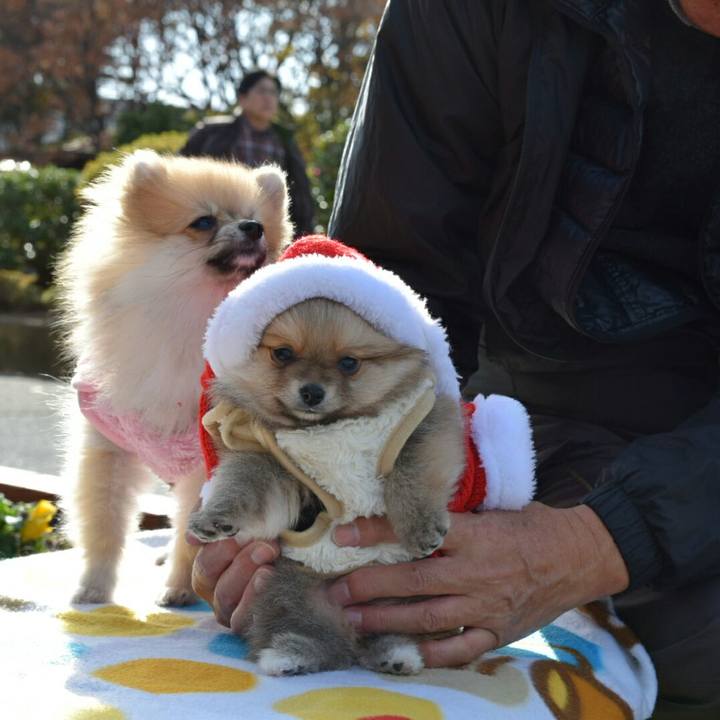 7214cc9b 1836 4185 92c6 eda7cf3e6081 1512372349182