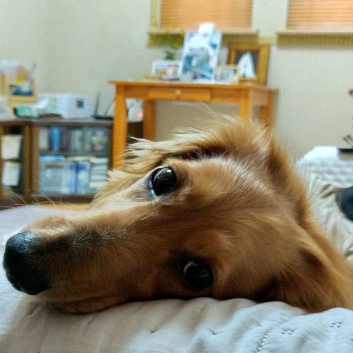 7214f771 570c 4b21 9155 7221c2d0a7ce 1632319485914