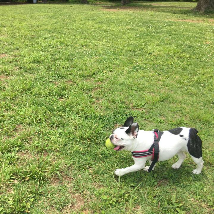 721530f3 0993 49ce a24b 34e3d7a4f070 1527590080080