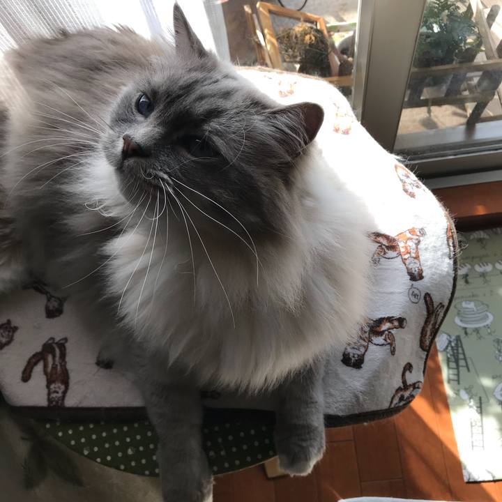 72154911 da3d 4dc8 a2db 437a278f4739 1517747762692