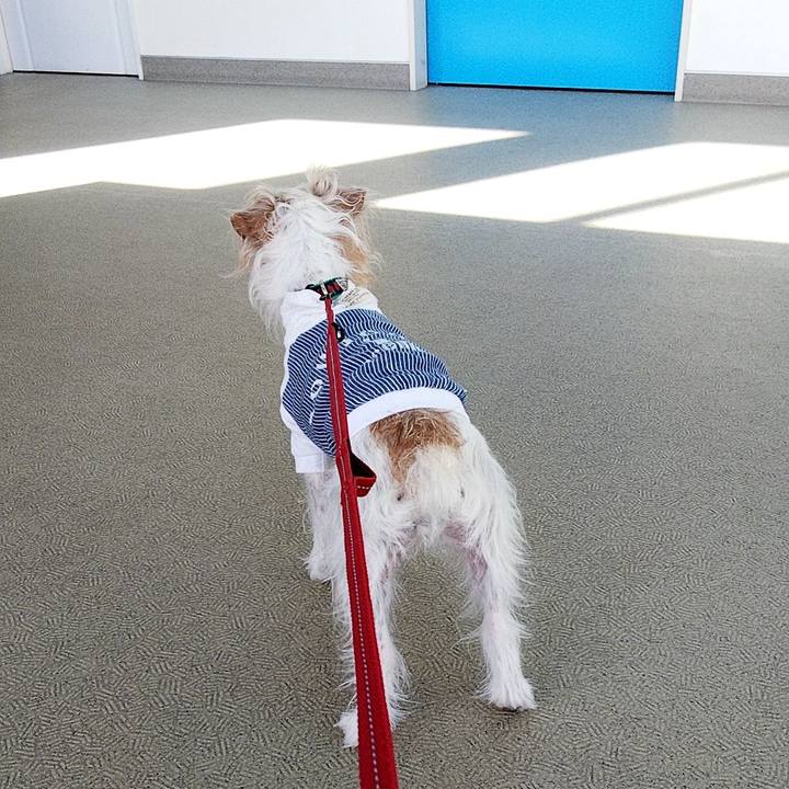 72154d84 d3f0 4948 bb6f e671b88d5296 1584668661543