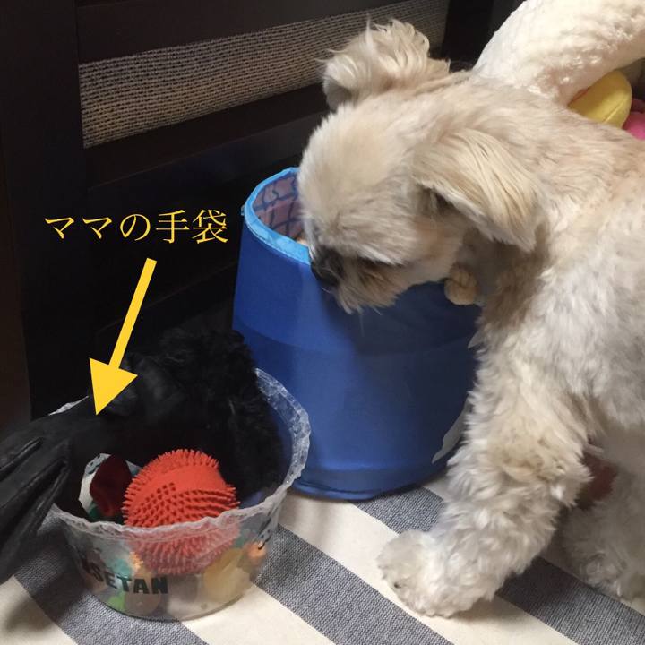 72156886 6a87 47cc a28a 6c9c4f351464 1514974978210