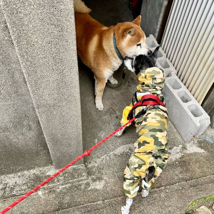 721592e5 67cb 4d97 b8f4 402f84e1f110 1648943777761