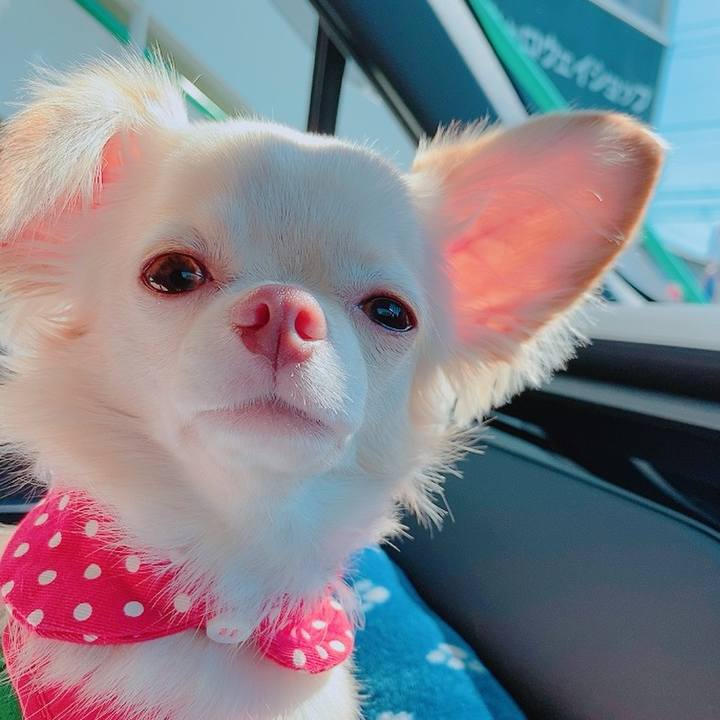 7215a942 5e22 4396 bf11 0744658b6e89 1632122946808