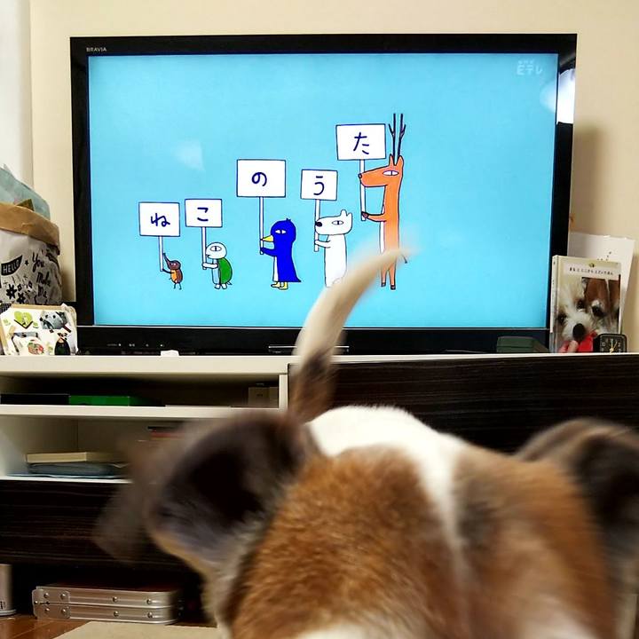 7215cffc afe5 4da1 834c 0d844703b1f7 1558476367927