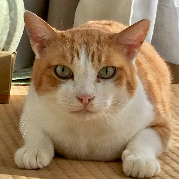 72165ef5 cdb7 46fa 9290 3dee896a1bf3 1570691658133