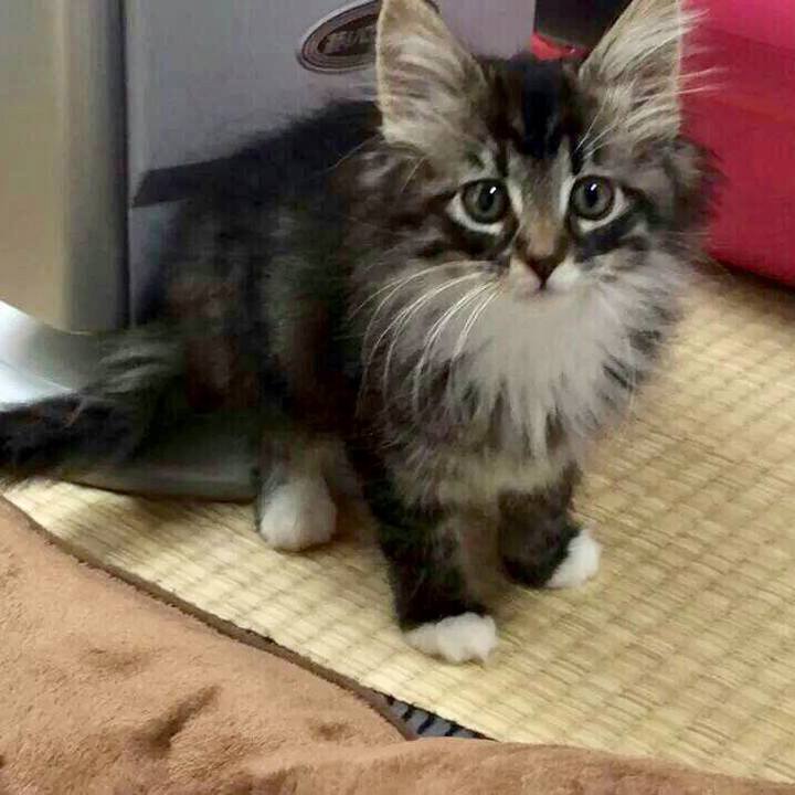 721671aa 1cd1 4459 aac7 ff21735776e9 1516890833586