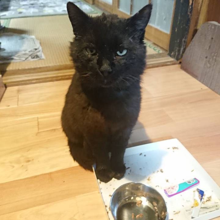 721676a3 b6f7 429e 8b5c 0209b982455b 1622110480484