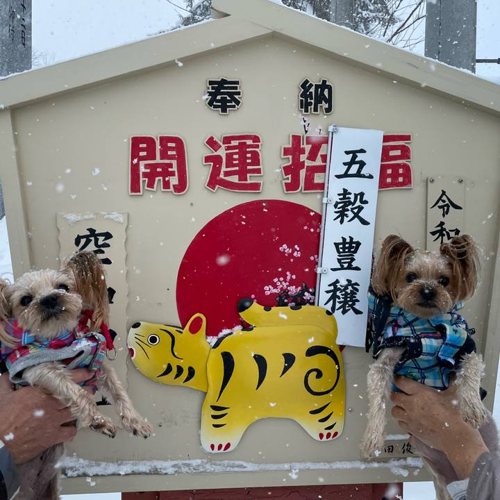 72169e7b ee3c 4bc1 9582 24a782f67832 1641024837966