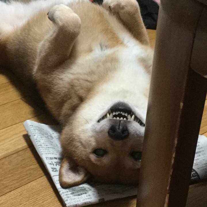 7216b109 299d 408a 9b31 435aa1f1198a 1595314774748