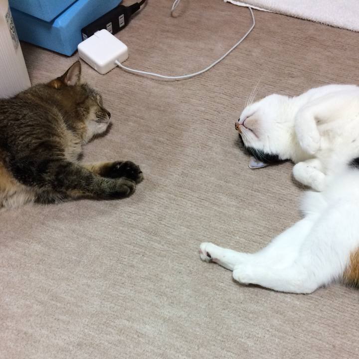 7216b2d6 0d31 4c11 86ed 12e5b929f3a2 1528242213511