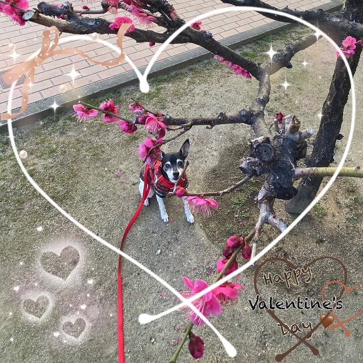 7216b406 5328 4851 bbb9 176e8185119e 1613265225198